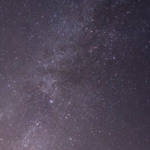 Meet your Posher, Breanna